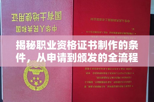 永州揭秘职业资格证书制作的条件，从申请到颁发的全流程解析